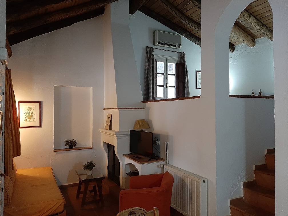 APARTAMENTO206