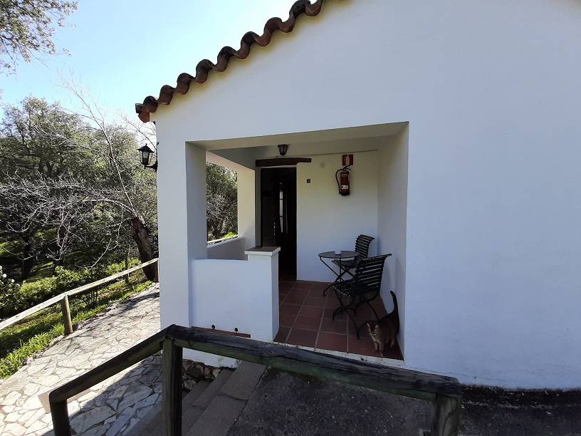 APARTAMENTO202