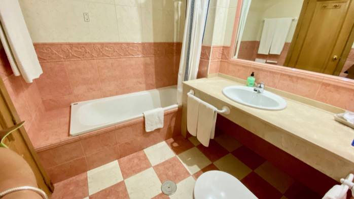 HOTEL TORREPALMA, Baño habitación 101