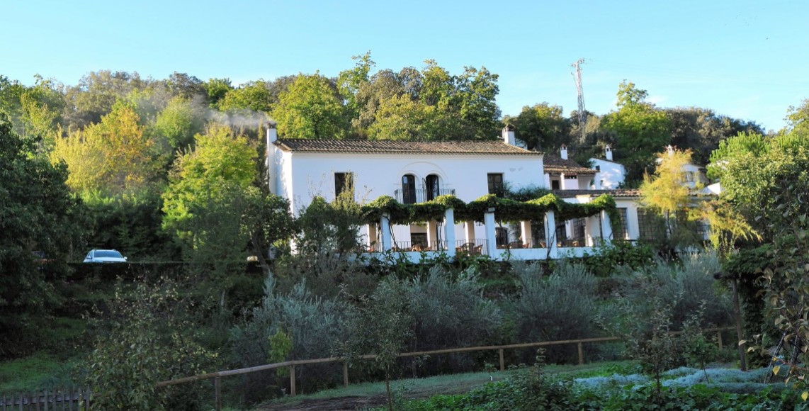 vista