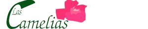 Hotel Las Camelias