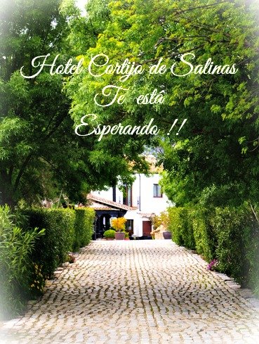 Hotel Cortijo Salina Ronda-Zahara - 